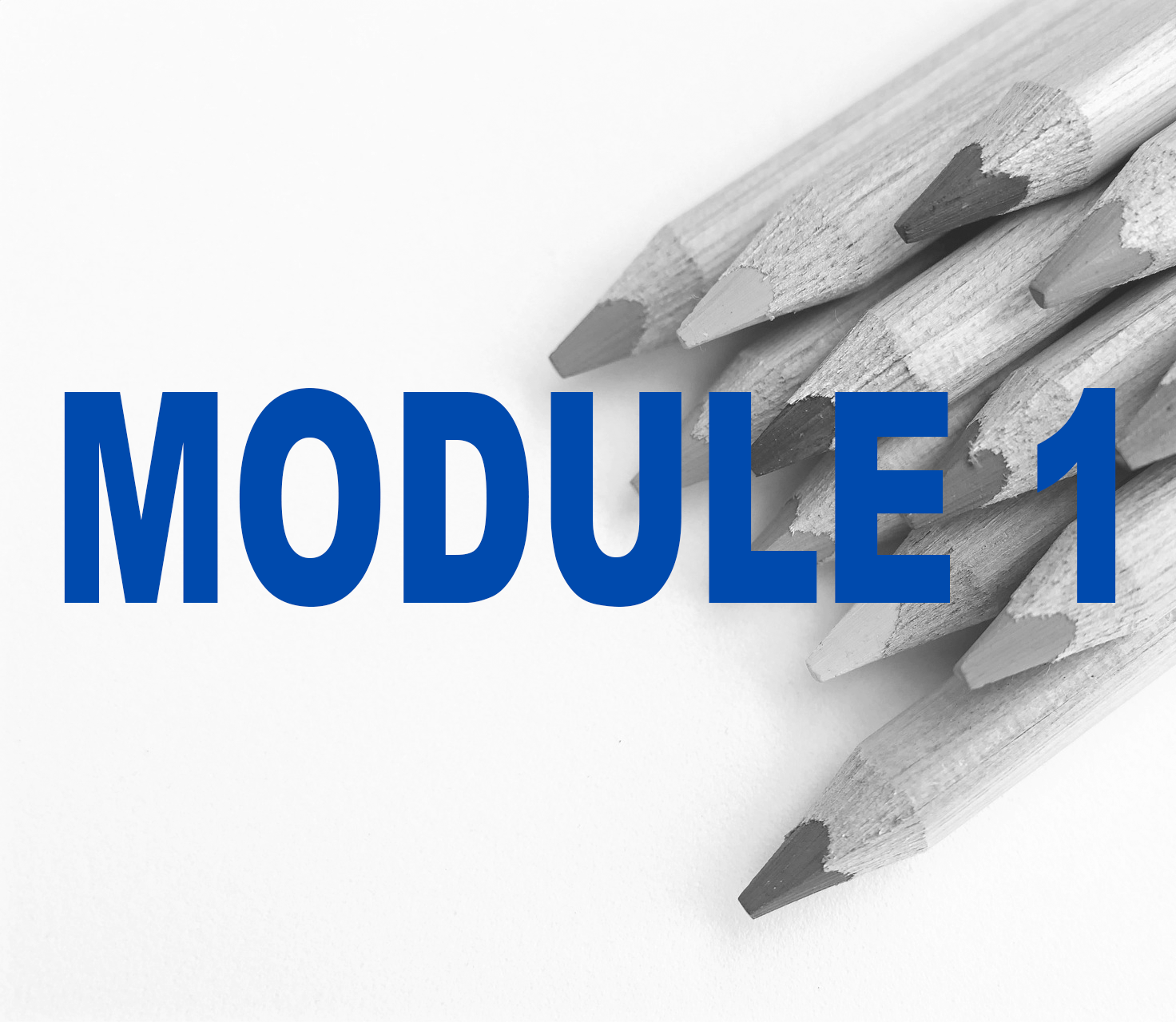 Module 1