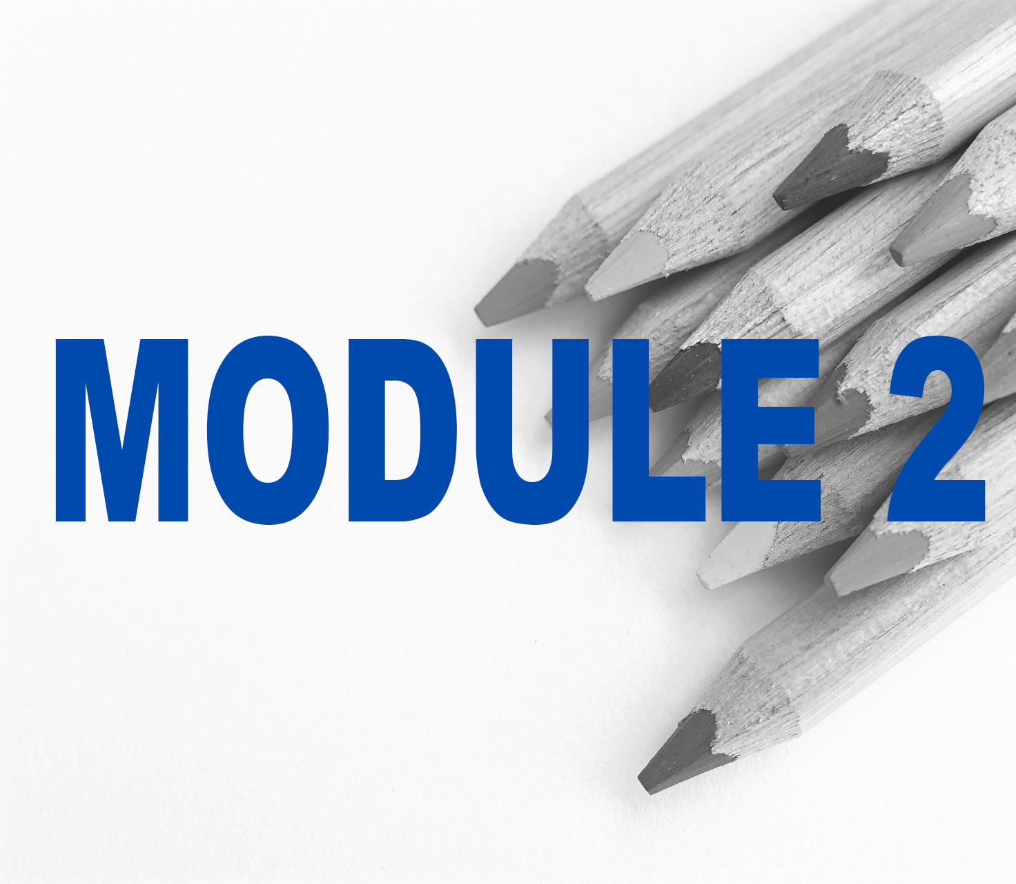 Module 2