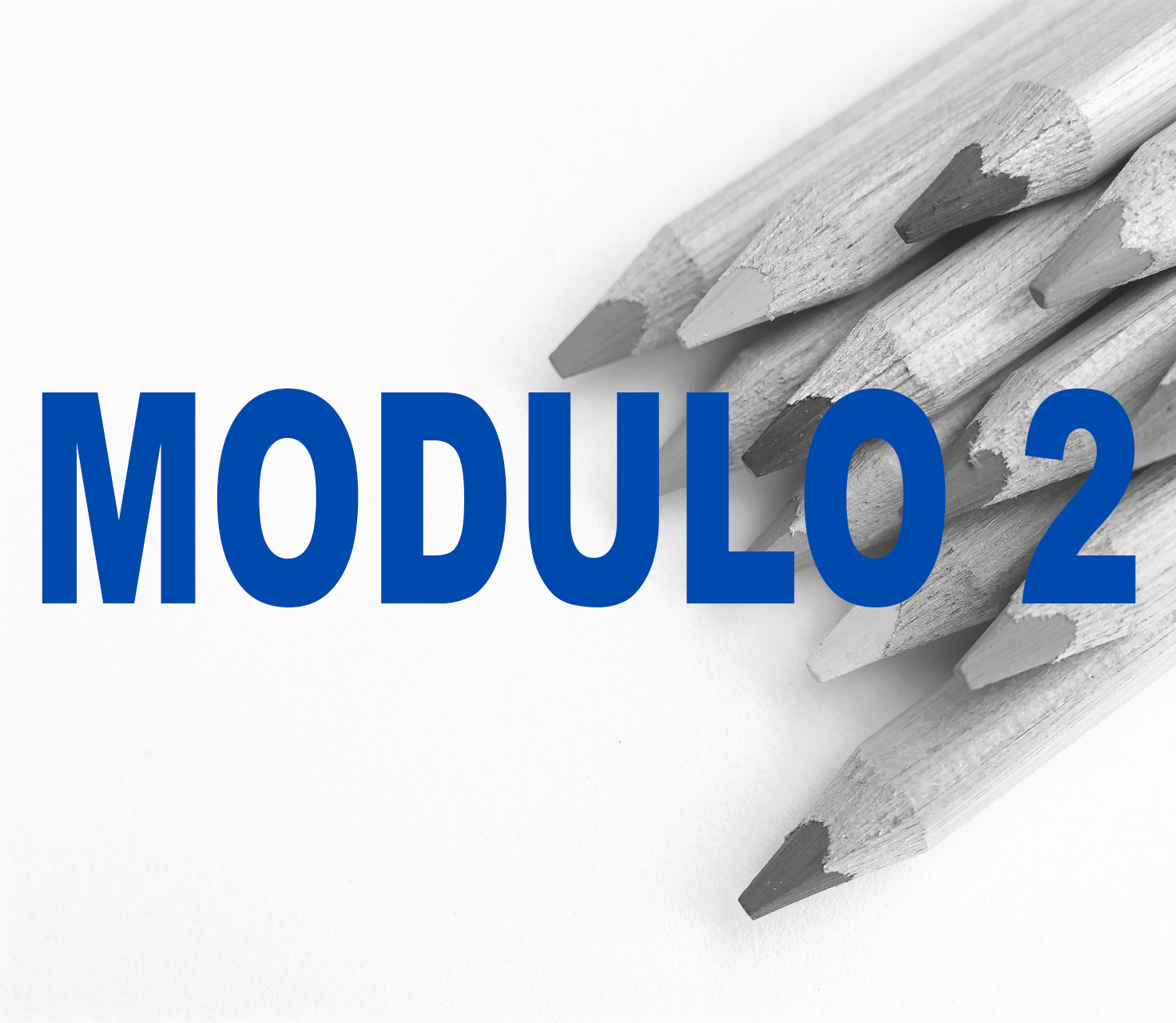 Modulo 2